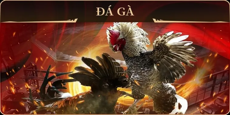 Trải Nghiệm Kịch Tính Cùng Đá Gà GA28 Tại B9Casino Ngay Hôm Nay