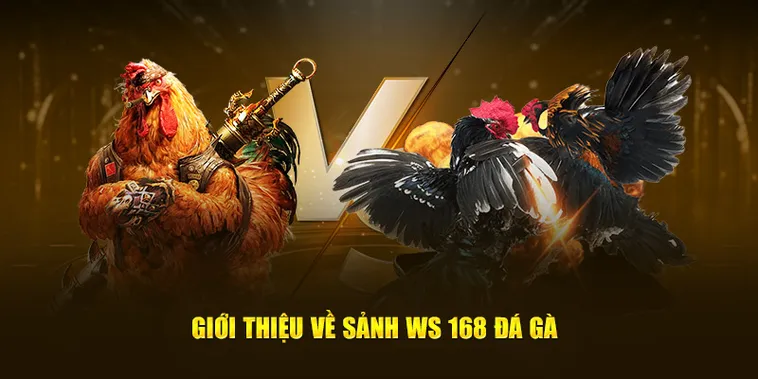 Hướng Dẫn Chi Tiết Cách Chơi Đá Gà WS168 Tại B9Casino Hiệu Quả Nhất