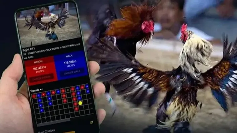 Khám Phá Sảnh Đá Gà B9Casino Đỉnh Cao Với Tỷ Lệ Cược Hấp Dẫn